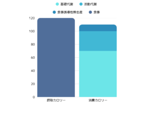 カロリー計算のグラフ